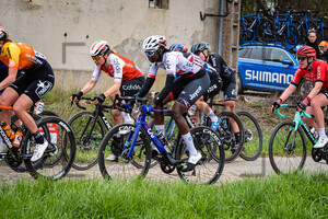 CAMPBELL Teniel: Paris - Roubaix - WomenÂ´s Race