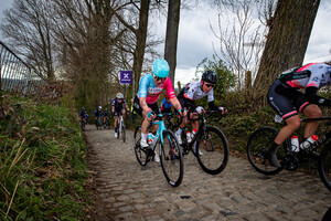 VAN 'T GELOOF Maria Apolonia: Ronde Van Vlaanderen 2022 - WomenÂ´s Race