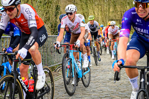 NAESEN Oliver: Dwars Door Vlaanderen 2023 - MenÂ´s Race