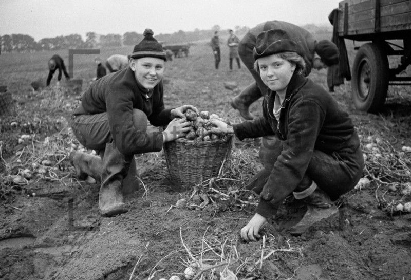 Landwirtschaft in der DDR Fotos
